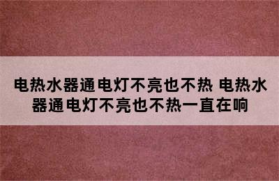 电热水器通电灯不亮也不热 电热水器通电灯不亮也不热一直在响